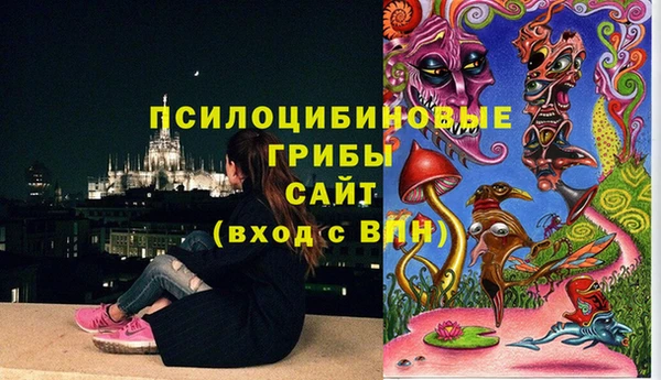молекула духа Богородицк