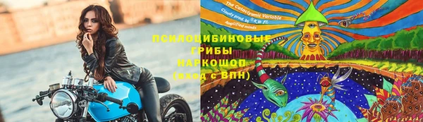 mdpv Володарск
