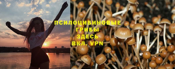 ешки Верея